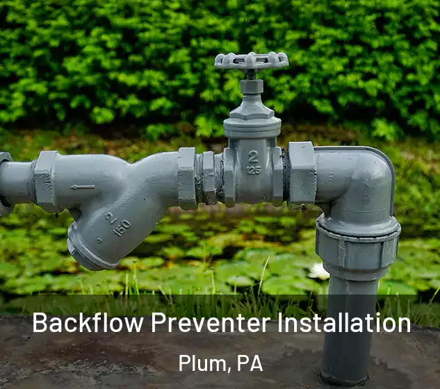  Backflow Preventer Installation Plum, PA