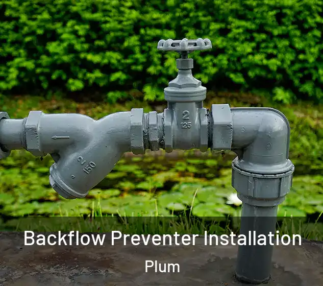  Backflow Preventer Installation Plum