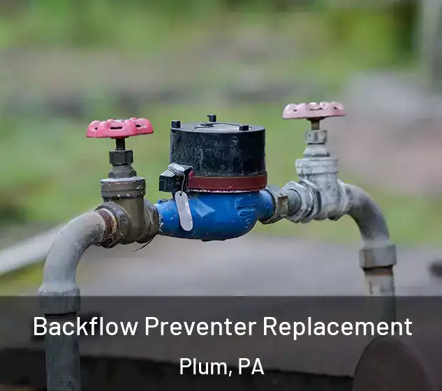  Backflow Preventer Replacement Plum, PA