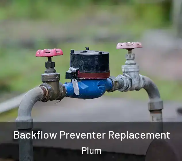  Backflow Preventer Replacement Plum