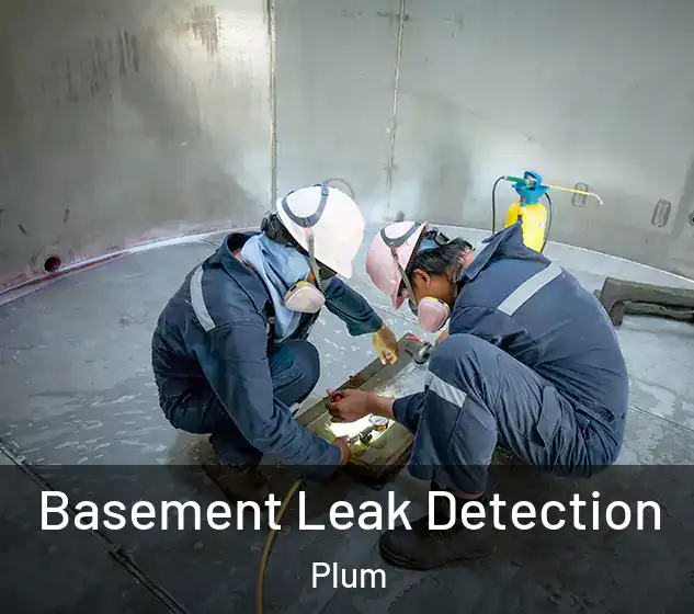  Basement Leak Detection Plum