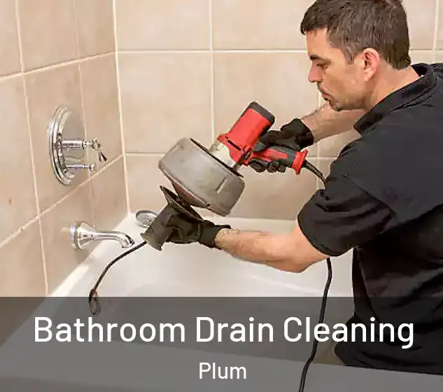  Bathroom Drain Cleaning Plum