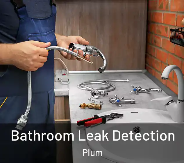 Bathroom Leak Detection Plum