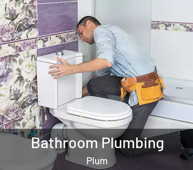  Bathroom Plumbing Plum