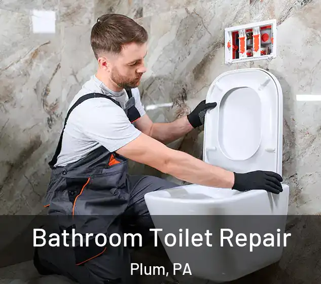  Bathroom Toilet Repair Plum, PA