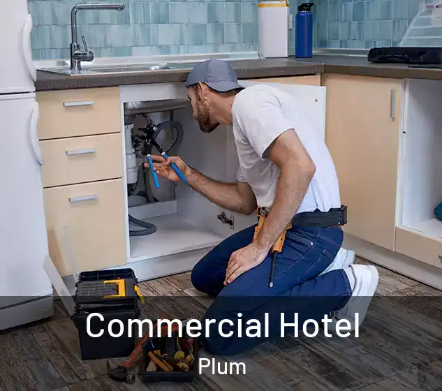  Commercial Hotel Plum