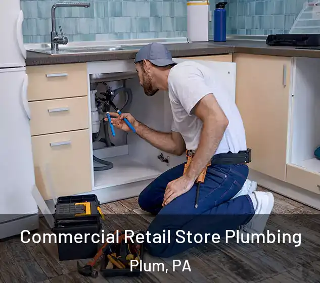  Commercial Retail Store Plumbing Plum, PA