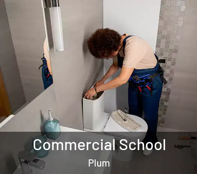  Commercial School Plum