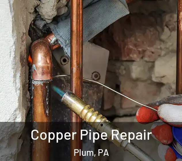  Copper Pipe Repair Plum, PA