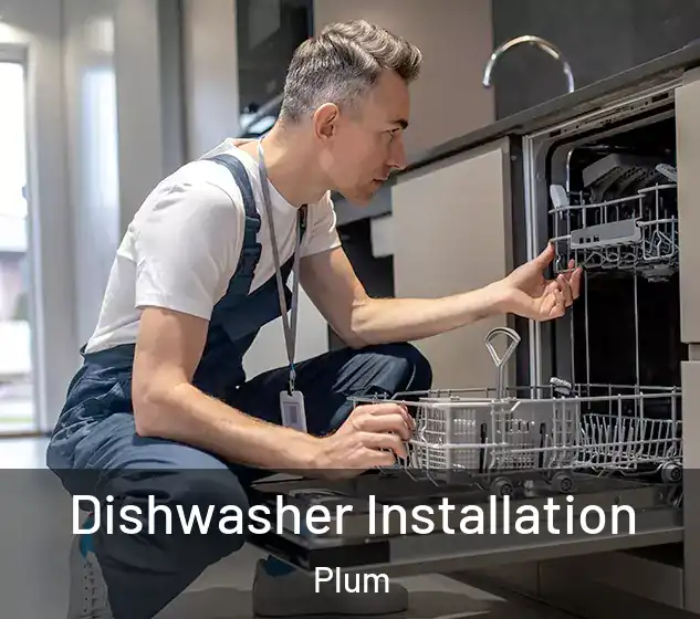  Dishwasher Installation Plum