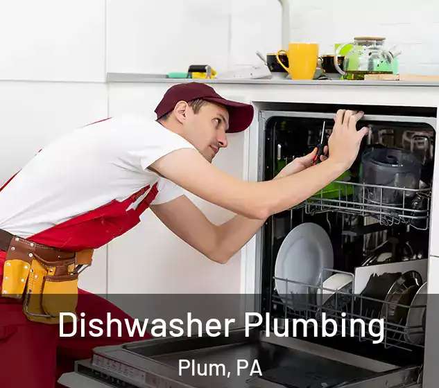  Dishwasher Plumbing Plum, PA