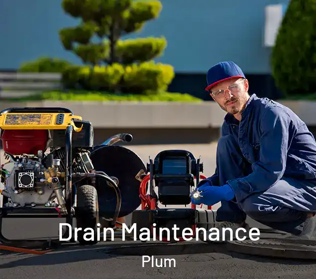  Drain Maintenance Plum