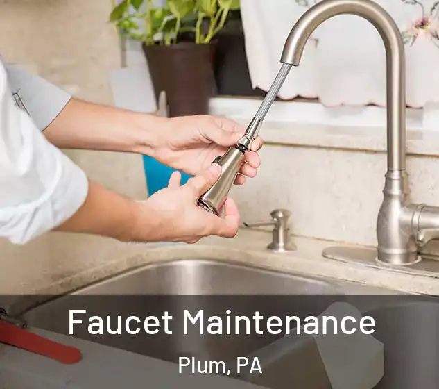  Faucet Maintenance Plum, PA