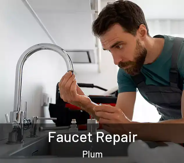  Faucet Repair Plum