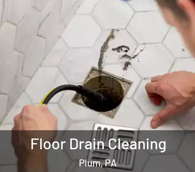  Floor Drain Cleaning Plum, PA