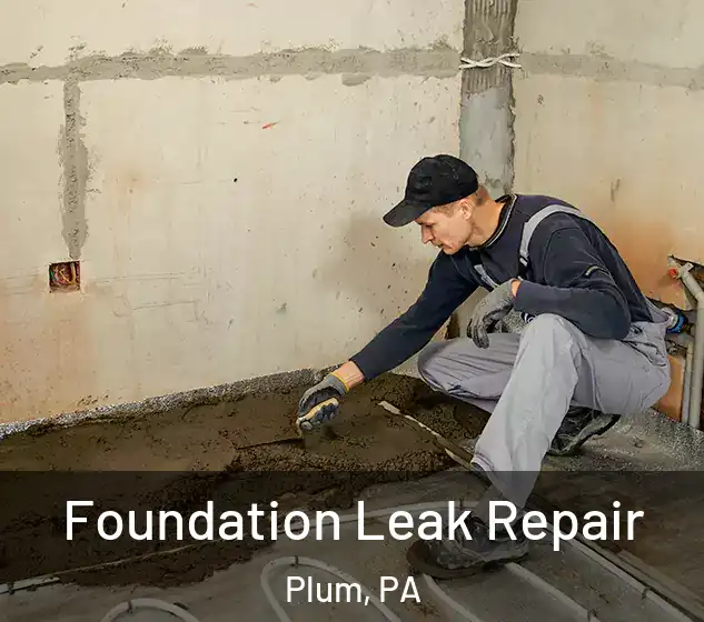  Foundation Leak Repair Plum, PA
