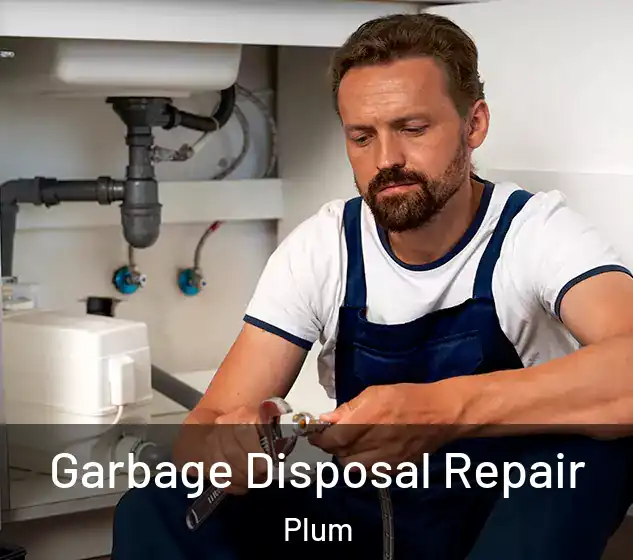  Garbage Disposal Repair Plum
