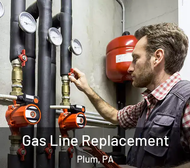  Gas Line Replacement Plum, PA