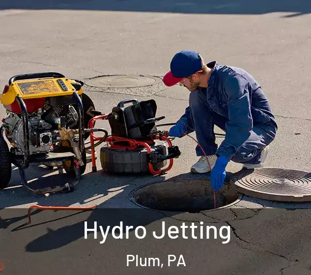  Hydro Jetting Plum, PA