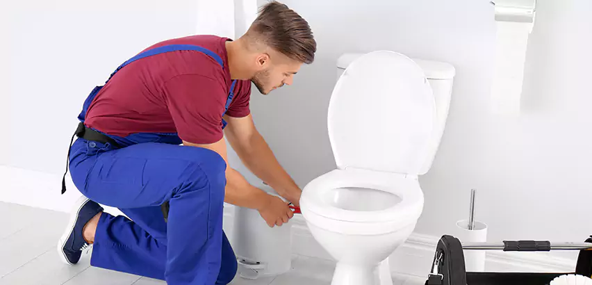 Scope of Bathroom Toilet Bowl Replacement Services in Plum, PA