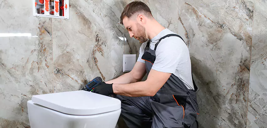 Scope of Bathroom Toilet Replacement Services in Plum, PA
