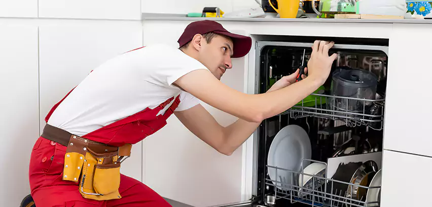 Scope of Kitchen Dishwasher Installation Services in Plum, PA