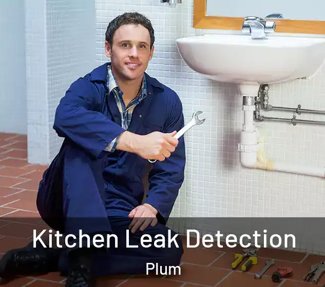  Kitchen Leak Detection Plum