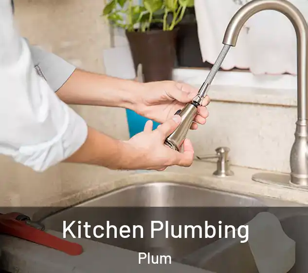  Kitchen Plumbing Plum