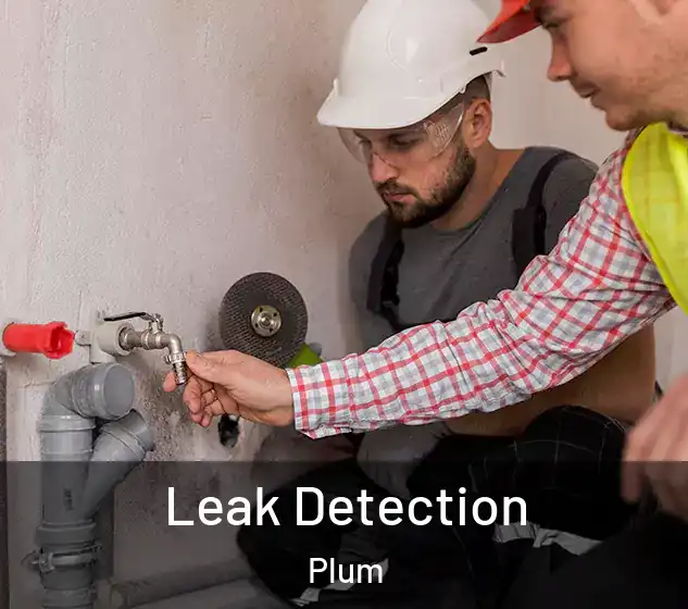  Leak Detection Plum