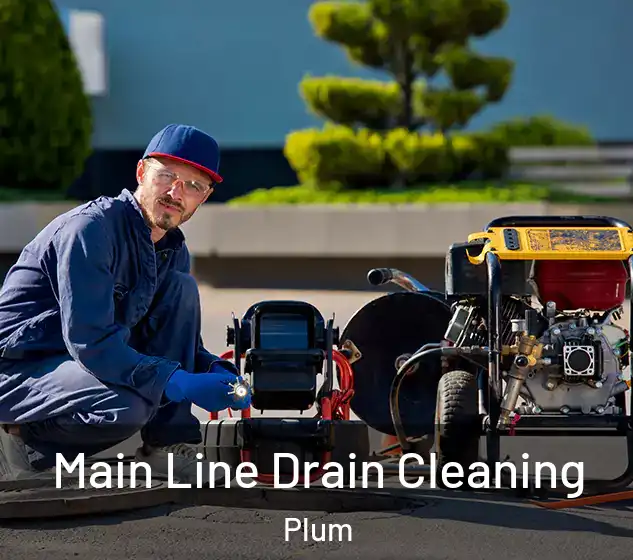  Main Line Drain Cleaning Plum