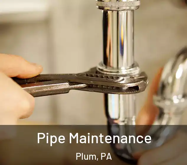  Pipe Maintenance Plum, PA