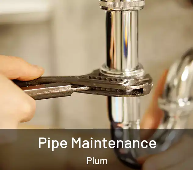  Pipe Maintenance Plum