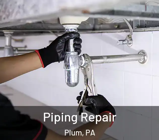  Piping Repair Plum, PA