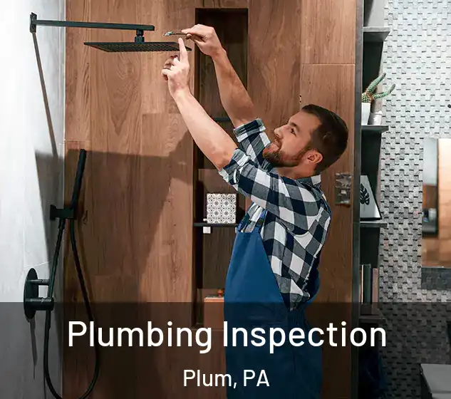  Plumbing Inspection Plum, PA