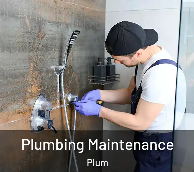  Plumbing Maintenance Plum