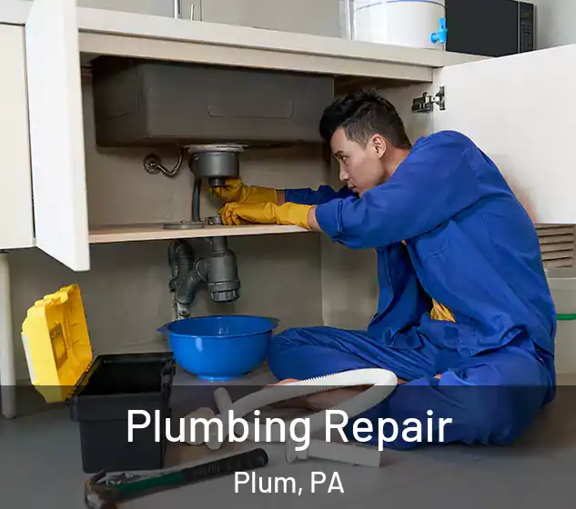  Plumbing Repair Plum, PA