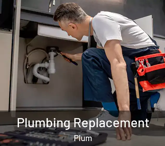  Plumbing Replacement Plum