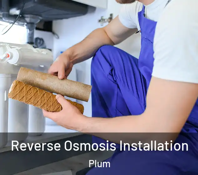  Reverse Osmosis Installation Plum