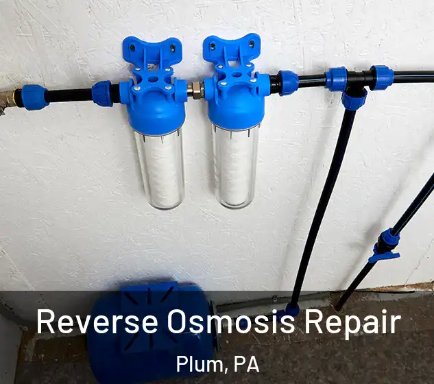  Reverse Osmosis Repair Plum, PA