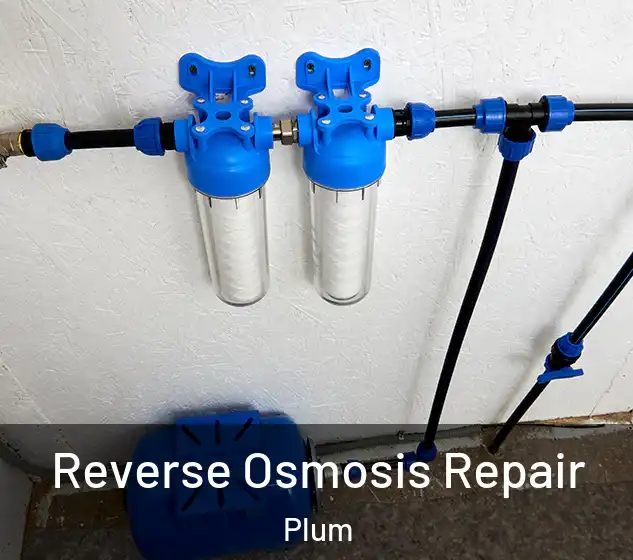  Reverse Osmosis Repair Plum