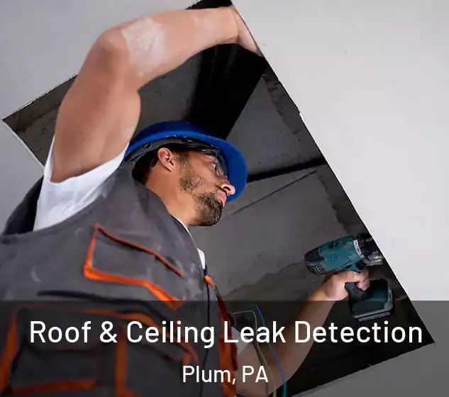  Roof & Ceiling Leak Detection Plum, PA