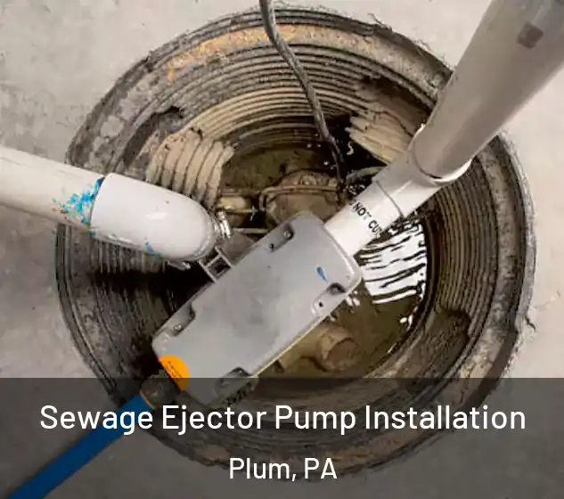  Sewage Ejector Pump Installation Plum, PA