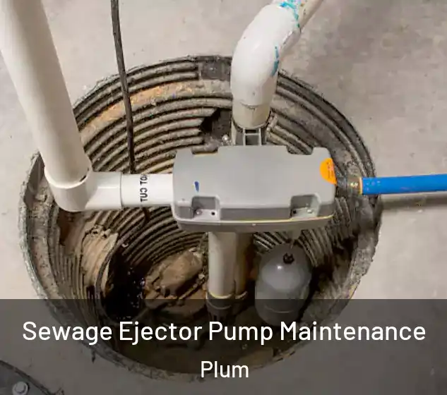  Sewage Ejector Pump Maintenance Plum
