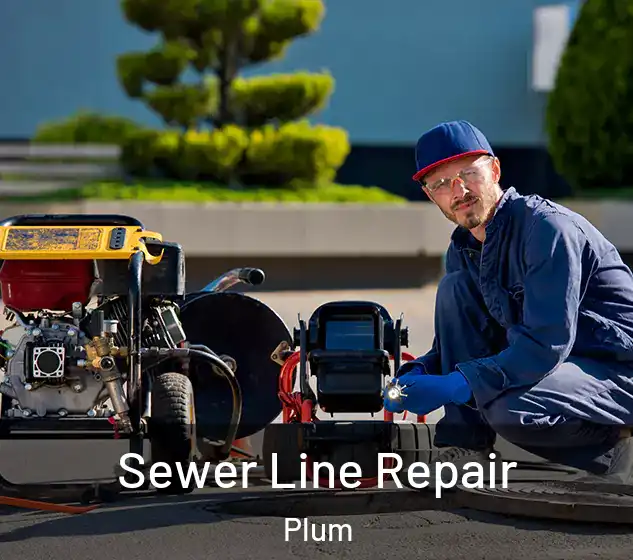  Sewer Line Repair Plum