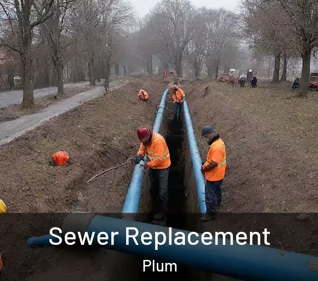  Sewer Replacement Plum