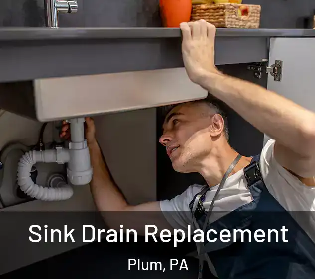  Sink Drain Replacement Plum, PA