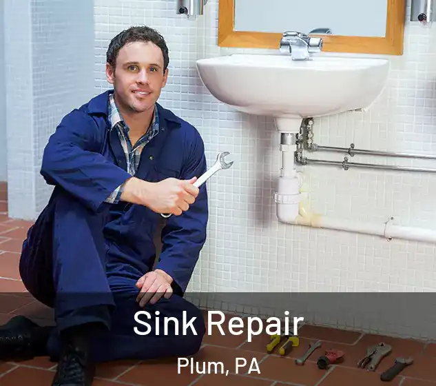  Sink Repair Plum, PA
