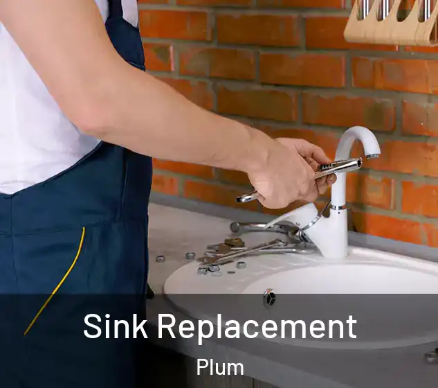  Sink Replacement Plum