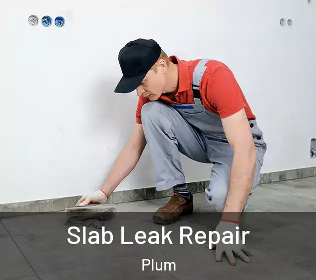  Slab Leak Repair Plum