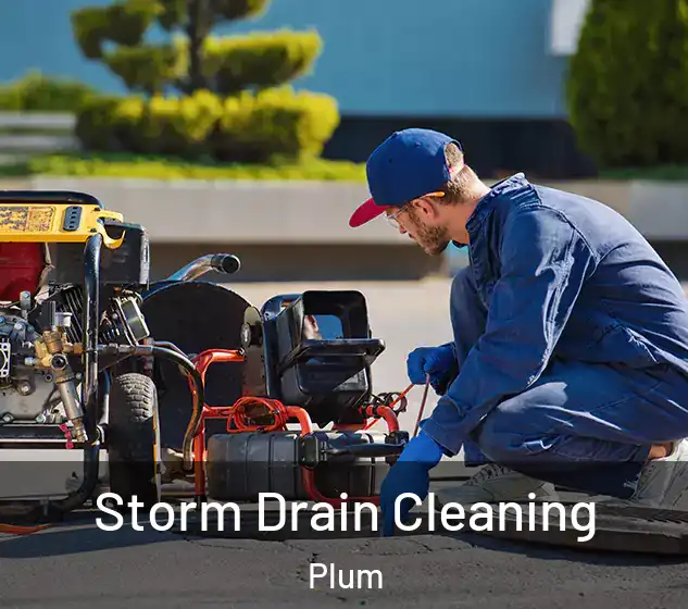  Storm Drain Cleaning Plum